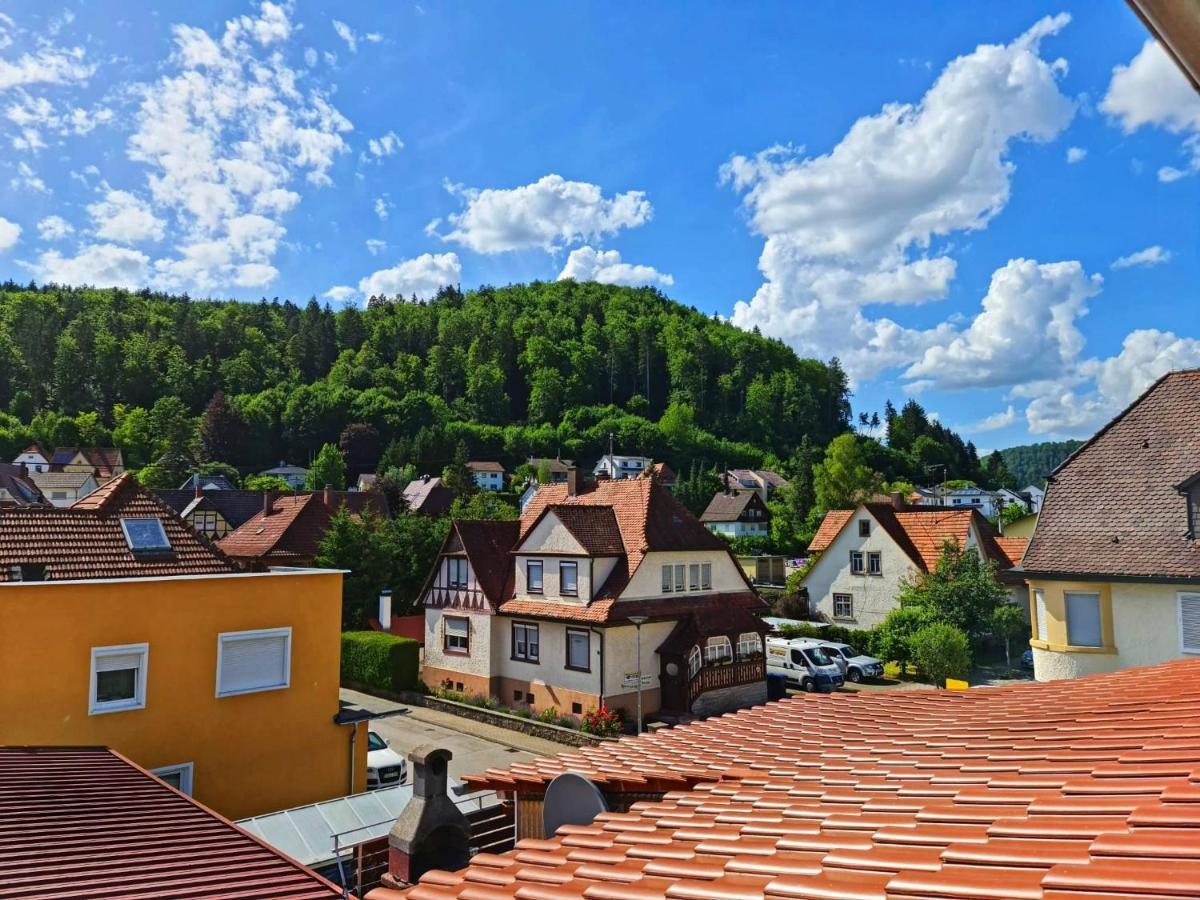 Pension Transilvania Immendingen Exterior foto